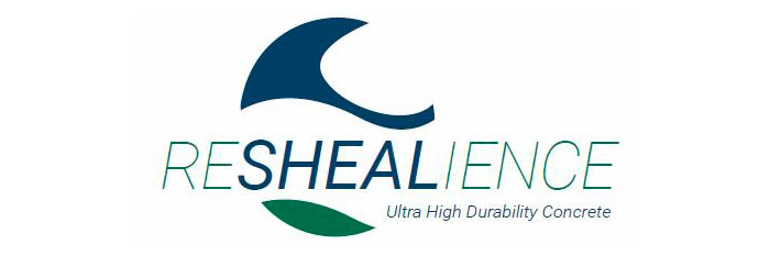 Logo ReSHEALience